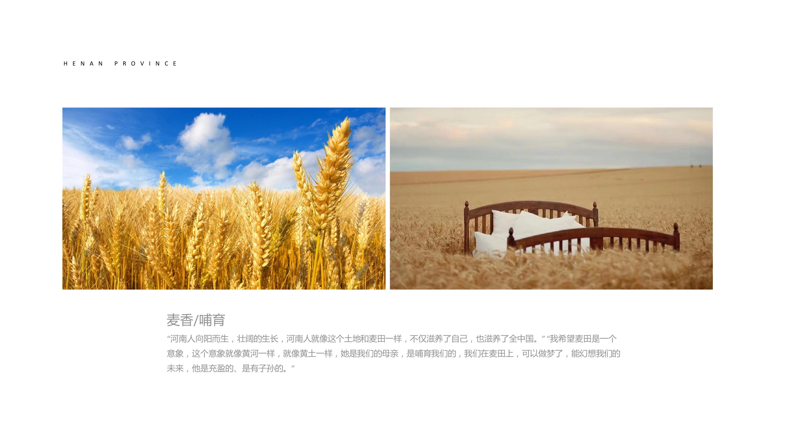 105°29′ / DITENGYUAN RENEWAL board 3
