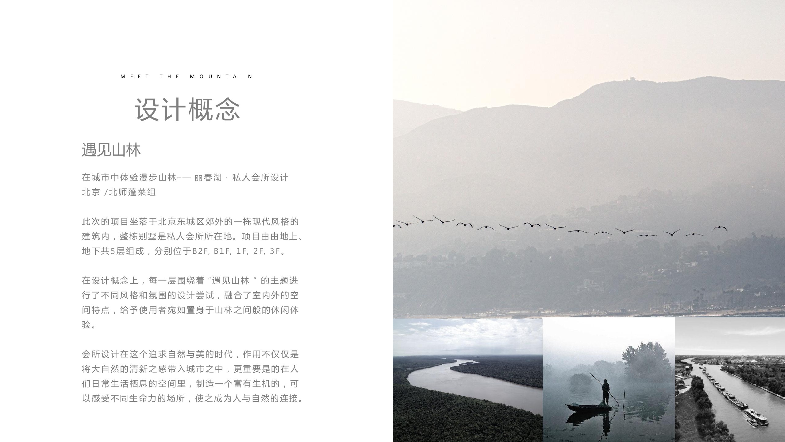 遇见山林 / MEET THE FOREST board 1